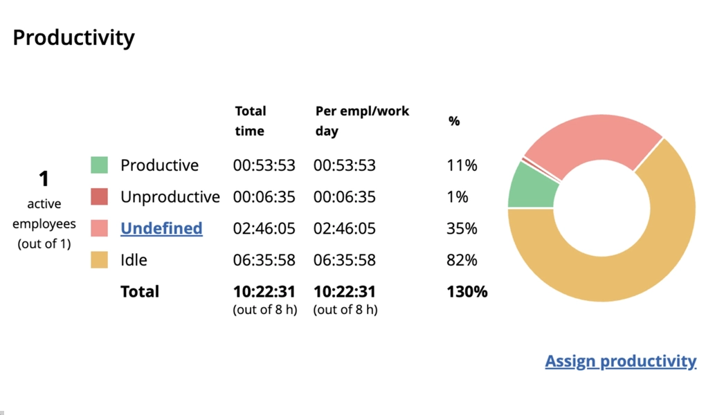 WorkTime productivity report at work.